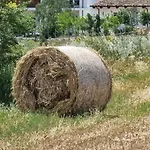Alloggio per agriturismo Masseria Milu'
