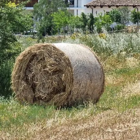 ファームステイ Masseria Milu'